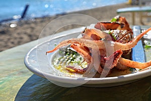 Mediterranean cuisine. Sea food. Stuffed squid