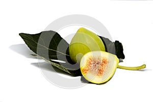 The mediterranean fig