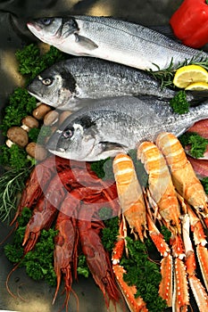 Mediterranean fish and seafood