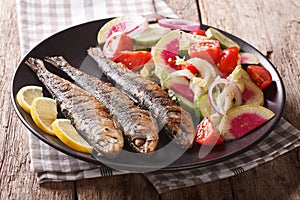 Mediterranean food: grilled sardines with fresh vegetable salad