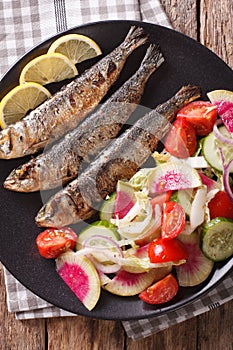 Mediterranean food: grilled sardines with fresh vegetable salad