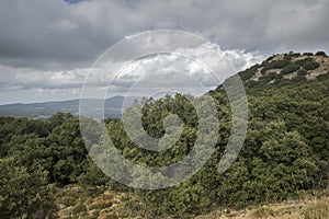Mediterranean forest in Font Roja Natural Park