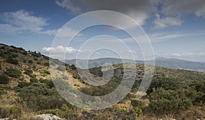 Mediterranean forest in Font Roja Natural Park