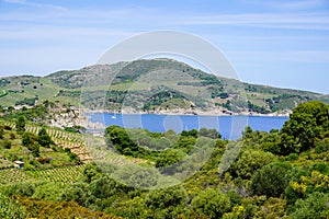 Mediterranean french south coast in port vendres France
