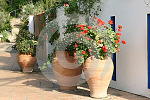 Mediterranean Garden