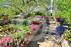 Mediterranean garden