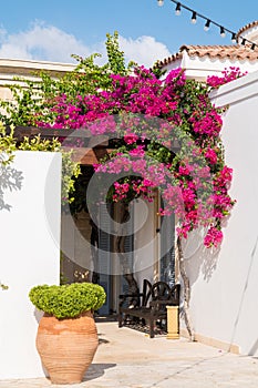 Mediterranean garden with outdoor bench