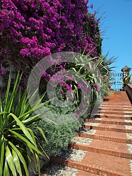 Mediterranean garden stairs