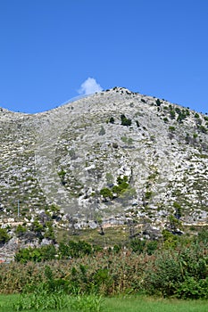 Mediterranean hill recovering after forest fire