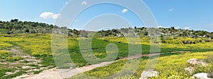 Mediterranean hills landscape in spring