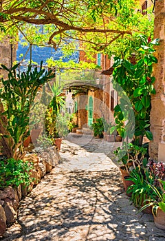 Mediterranean house garden