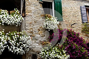 Mediterranean house in Italy full of colorful flowers