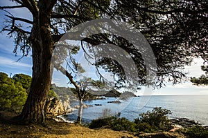 Mediterranean landscape in Costa Brava, Girona, Spain