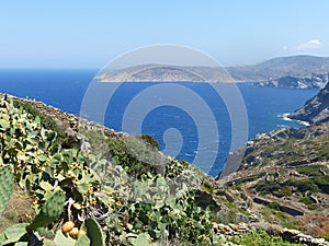 Mediterranean maquis on the sea to Amorgos in Greece.
