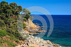 Mediterranean nature. Seascape on sunny clear summer day. Spanish beach. Green pine forest on rocks near sea coastline Rocky beach