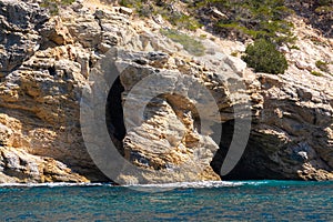 Mediterranean pine tree growing on white limestone rocks and cliffs in Calanques national park, Provence, France