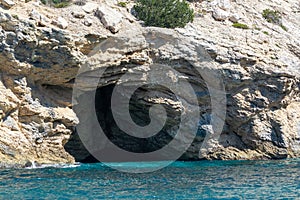 Mediterranean pine tree growing on white limestone rocks and cliffs in Calanques national park, Provence, France