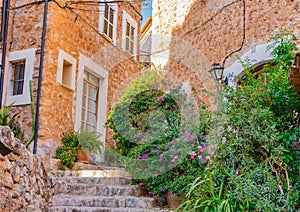 Mediterranean rustic village with flowers plants pots, Majorca island Spain