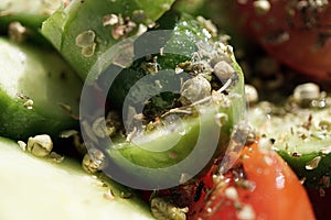 Mediterranean Salad Close Up