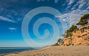 Mediterranean sandy beach, pine trees, Miami Platja, Catalunya, photo