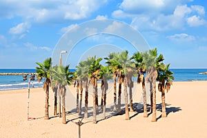 Mediterranean sea beach of Tel Aviv, Israel