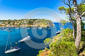 Mediterranean Sea Coast Bay of Portals Vells Majorca Spain