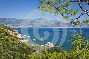 Mediterranean sea coast, Nature of Turkey, bright green pine tree branches on foreground, Kalkan town