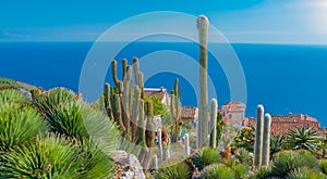 Mediterranean sea and medieval houses in Eze village in France