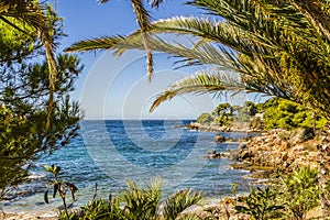 The mediterranean shore