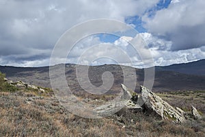 Mediterranean shrublands of basil-leaved rock rose