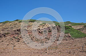 Mediterranean shrublands next to Cala Morts