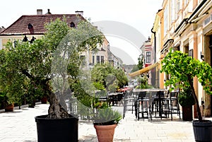 Mediterranean street restaurant terraces and potted lush green plants