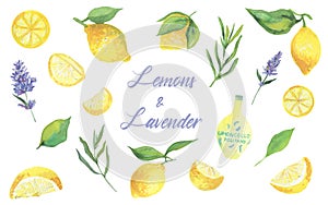 Mediterranean style watercolor set. Lemons and lavender cliparts.