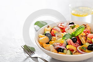 Mediterranean tomato salad panzanella with bread and fresh vegetables in the ceramic bowl.