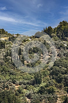 Mediterranean typical landscape.