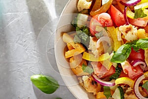 Mediterranean vegetable bread salad panzanella on stone background close-up.