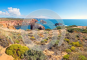 Mediterranean vegetation at Costa Vicentina, west algarve portugal in autumn