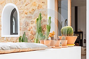 Mediterranean villa, wall of large pieces of local sandstones, cacti of various shapes, sizes and types in pots