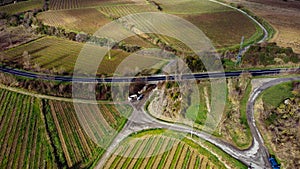 Mediterranean vineyard viewed from above, drone aerial image