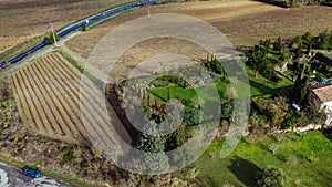 Mediterranean vineyard viewed from above, drone aerial image