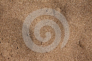 Mediterranenan Sand Texture #3