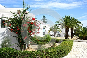 Mediterranian architecture