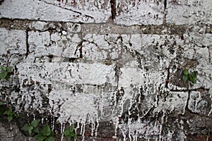 Medium close up of old brick wall at a former prison in Asia slo