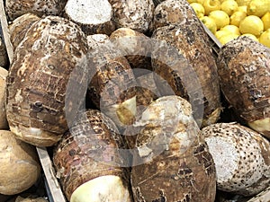 Medium close up of taro root crops