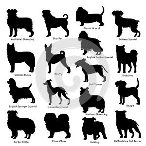 Medium dog breeds silhouette bundle