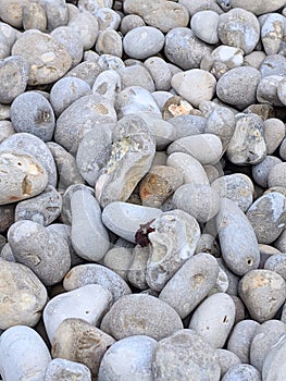 Medium size Rock beach ground texture