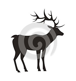 Medium-Sized Adult Male Deer Colorless Black Icon