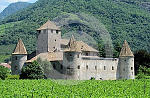 Medival castle