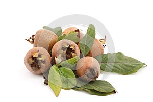 Medlar photo