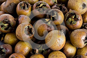 Medlar photo